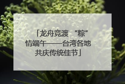 龙舟竞渡 “粽”情端午——台湾各地共庆传统佳节