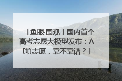 鱼眼·围观丨国内首个高考志愿大模型发布：AI填志愿，靠不靠谱？