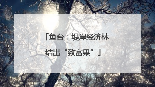 鱼台：堤岸经济林结出“致富果”