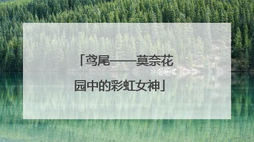 鸢尾——莫奈花园中的彩虹女神