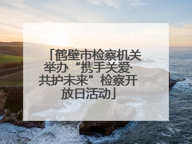 鹤壁市检察机关举办“携手关爱·共护未来”检察开放日活动
