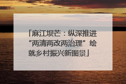 麻江坝芒：纵深推进“两清两改两治理”绘就乡村振兴新图景