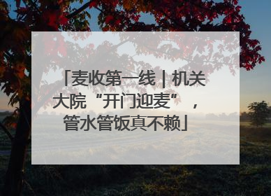 麦收第一线｜机关大院“开门迎麦”，管水管饭真不赖