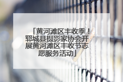 黄河滩区丰收季！郓城县摄影家协会开展黄河滩区丰收节志愿服务活动