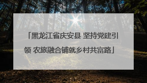 黑龙江省庆安县 坚持党建引领 农旅融合铺就乡村共富路