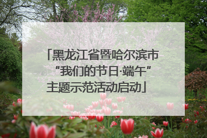 黑龙江省暨哈尔滨市“我们的节日·端午”主题示范活动启动