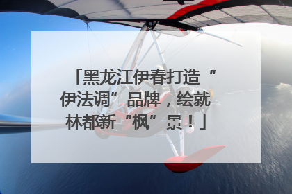 黑龙江伊春打造“伊法调”品牌，绘就林都新“枫”景！
