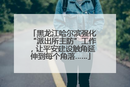 黑龙江哈尔滨强化“派出所主防”工作，让平安建设触角延伸到每个角落……