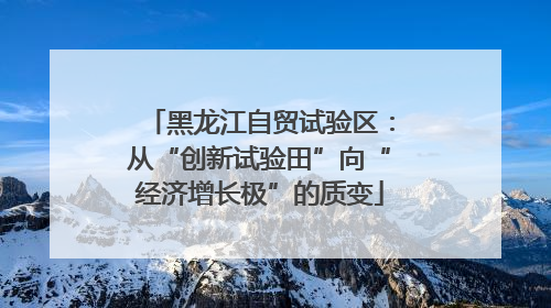 黑龙江自贸试验区：从“创新试验田”向“经济增长极”的质变