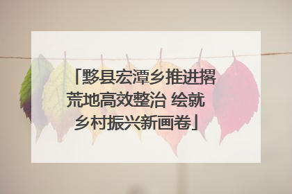 黟县宏潭乡推进撂荒地高效整治 绘就乡村振兴新画卷