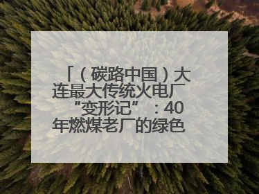 （碳路中国）大连最大传统火电厂“变形记”：40年燃煤老厂的绿色转型之路