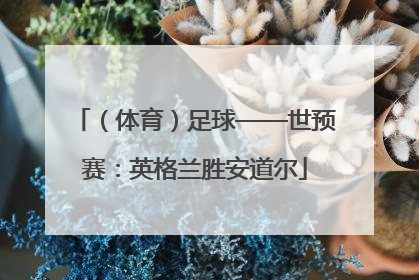 （体育）足球——世预赛：英格兰胜安道尔