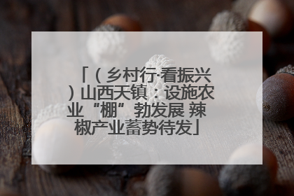 （乡村行·看振兴）山西天镇：设施农业“棚”勃发展 辣椒产业蓄势待发