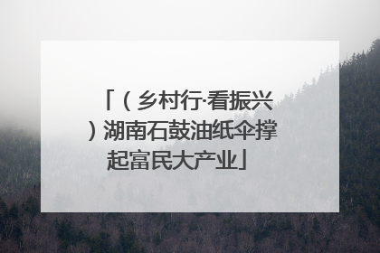 (乡村行·看振兴)湖南石鼓油纸伞撑起富民大产业