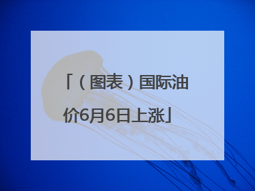 （图表）国际油价6月6日上涨