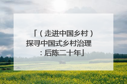 （走进中国乡村）探寻中国式乡村治理：后陈二十年