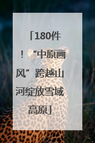 180件！“中原画风”跨越山河绽放雪域高原