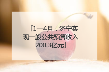 1—4月，济宁实现一般公共预算收入200.3亿元