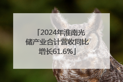 2024年淮南光储产业合计营收同比增长61.6%