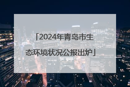 2024年青岛市生态环境状况公报出炉