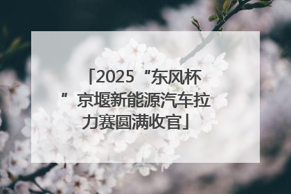 2025“东风杯”京堰新能源汽车拉力赛圆满收官