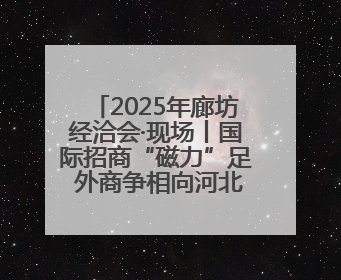 2025年廊坊经洽会·现场丨国际招商“磁力”足 外商争相向河北推介项目