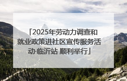 2025年劳动力调查和就业政策进社区宣传服务活动·临沂站 顺利举行