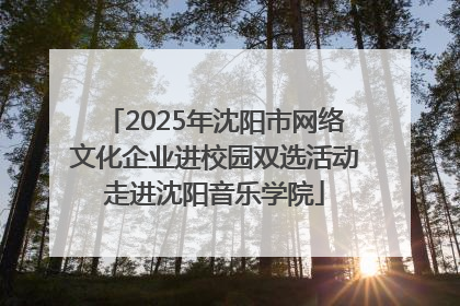 2025年沈阳市网络文化企业进校园双选活动走进沈阳音乐学院