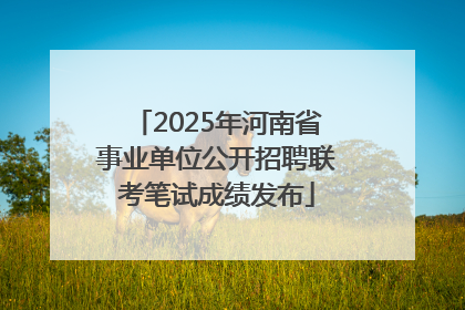 2025年河南省事业单位公开招聘联考笔试成绩发布