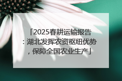2025春耕运输报告：湖北发挥农资枢纽优势，保障全国农业生产