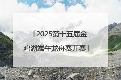 2025第十五届金鸡湖端午龙舟赛开赛