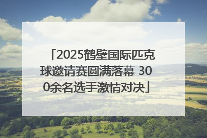 2025鹤壁国际匹克球邀请赛圆满落幕 300余名选手激情对决