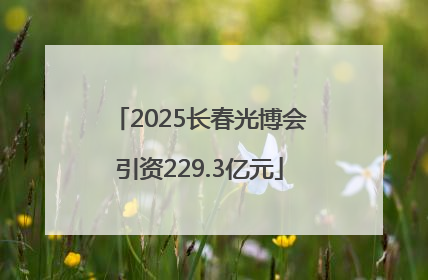 2025长春光博会引资229.3亿元