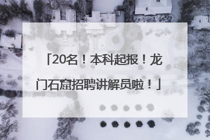 20名！本科起报！龙门石窟招聘讲解员啦！
