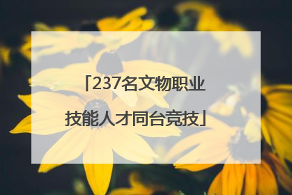 237名文物职业技能人才同台竞技