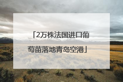 2万株法国进口葡萄苗落地青岛空港