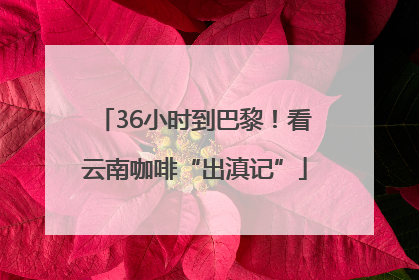 36小时到巴黎！看云南咖啡“出滇记”