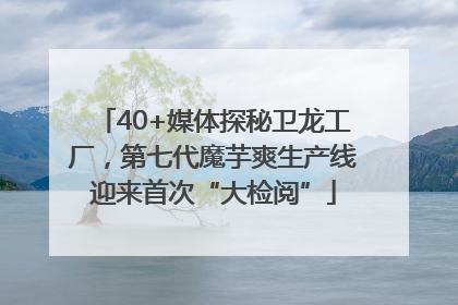 40+媒体探秘卫龙工厂，第七代魔芋爽生产线迎来首次“大检阅”