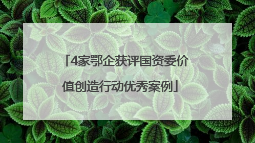 4家鄂企获评国资委价值创造行动优秀案例