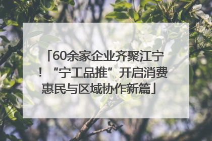 60余家企业齐聚江宁！“宁工品推”开启消费惠民与区域协作新篇