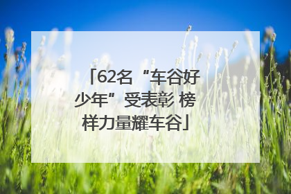 62名“车谷好少年”受表彰 榜样力量耀车谷