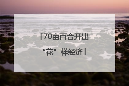 70亩百合开出“花”样经济