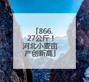866.27公斤！河北小麦亩产创新高