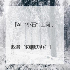 AI“小石”上岗，政务“边聊边办”