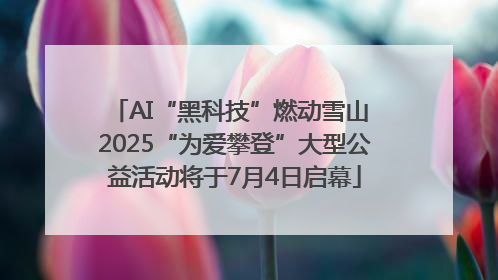 AI“黑科技”燃动雪山 2025“为爱攀登”大型公益活动将于7月4日启幕