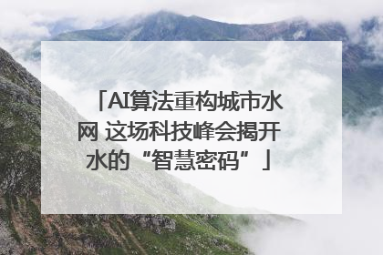 AI算法重构城市水网 这场科技峰会揭开水的“智慧密码”