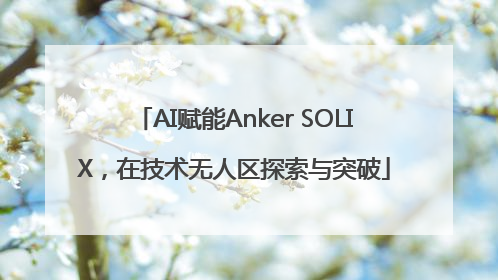 AI赋能Anker SOLIX，在技术无人区探索与突破
