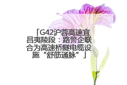 G42沪蓉高速宜昌夷陵段：路警企联合为高速桥隧电缆设施“舒筋通脉”