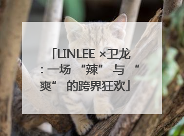 LINLEE ×卫龙：一场 “辣” 与 “爽” 的跨界狂欢