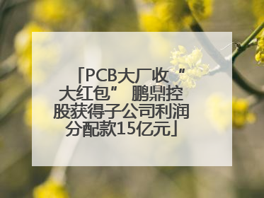 PCB大厂收“大红包” 鹏鼎控股获得子公司利润分配款15亿元